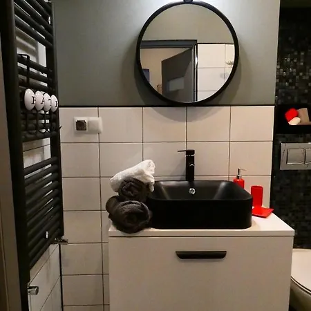 Apartament Rzepiórski *